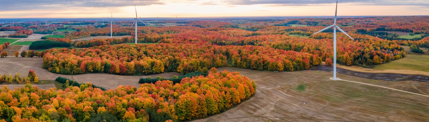Fall Banner 2 - Landscape with Wind Turbines